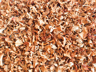 Background of dried Cantharellaceae mushrooms. Mushrooms are laid out in a thin layer. High quality photo