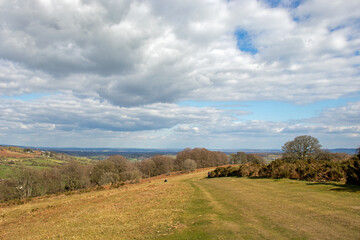 Fototapeta premium Hergest ridge along the border of England and Wales.
