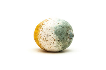 Lemon covered with mold on a white background