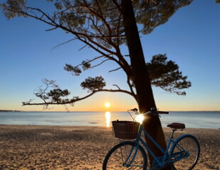 Fototapeta premium sunset at sea pine forest and bike near tree on beach , evening panptama summer shore of the Baltic sunbeam light nature landscape
