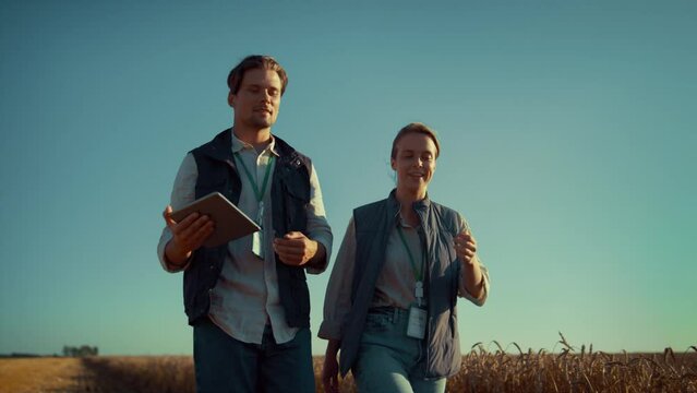 Agriculture engineers walking field in golden sunlight. Modern agritech industry