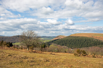 Hergest ridge along the border of England and Wales.