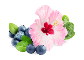 Beautiful hibiscus flower, fresh tasty blueberries and mint on white background © New Africa