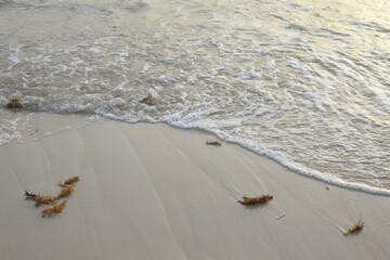 white tropical beach and a waves, closed up beach 