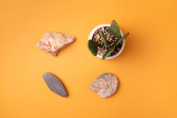 Conceptual creative modern Still life, flatlay. balancing stones on an orange background with space for text. conceptual background