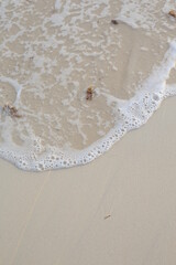 waves on the white sand closed up, Sea foam, white sand 