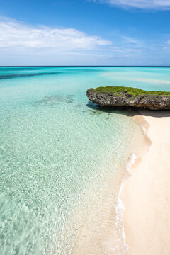 Wataru Ohira Photos Images Assets Adobe Stock