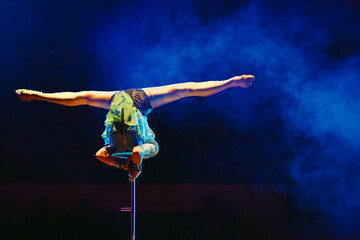 An aerial gymnast shows a performance in the circus arena.
