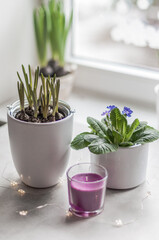A pot with a blooming violet, a pot of hyacinths and a candle surrounded by garlands on the background of the window.