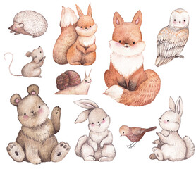 Fototapeta premium Watercolor forest cute cartoon animals set isolated elements