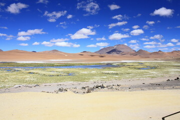 Atacama Desert, with typical yellow colored vegetation, colorful blue sky with clouds . Atacama Desert, Chile, South Amer