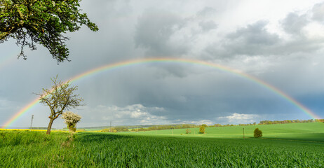 rainbow arch over landscape with fields and trees