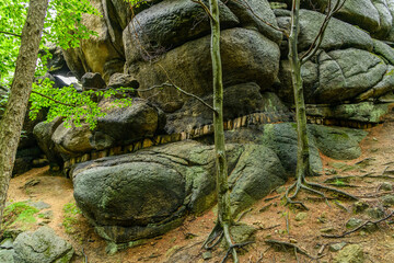 layers of different eroded sediment rocks in forest
