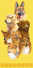 Vertical poster of different dogs breeds vector illustration yellow