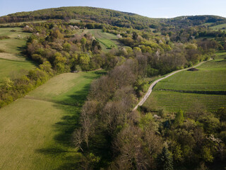 Fototapeta na wymiar Drone flight over green meadows, forests, landscape, nature in April in Austria
