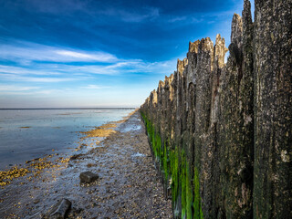 Waddensea 