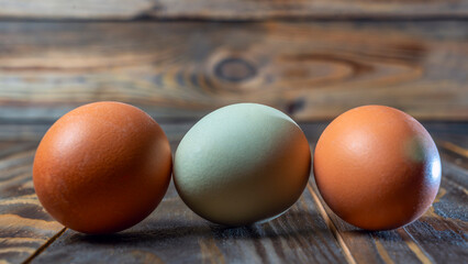 Llight blue and brown eggs. Easter Festival concepts. Araucana egg and the egg of an ordinary chicken.