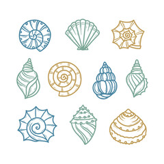 Seashells colorful hand drawn graphics set. Marine life design elements collection. Vector vintage illustration.