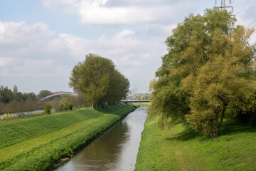 landscape with trees and canal