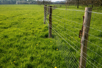 fence and grass