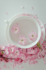 cup of tea with pink flowers