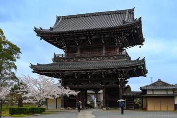 Fototapeta premium 清涼寺 嵯峨釈迦堂 仁王門と桜