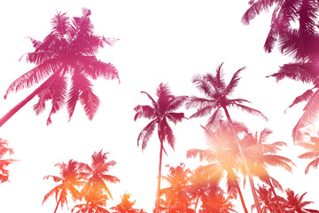 Tropical palm trees silhouettes isolated on white with sunset sky double exposure effect