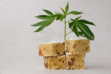 Homemade pie and powdered sugar with CBD oil. Cannabis kitchen. Marijuana cake on white textured...