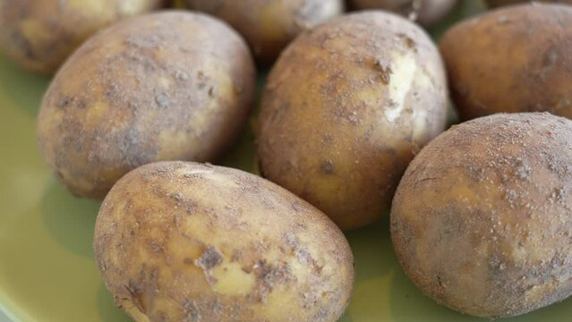 Closeup view 4k stock video footage of fresh organic spring potatoes isolated on green plate. Dirty unpeeled raw potatoes video background