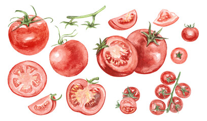 Big tomato set. Watercolor hand-drawn tomatoes. Realistic images