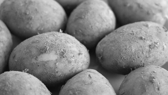 Closeup view black and white 4k stock video footage of fresh organic spring potatoes isolated on green plate. Dirty unpeeled raw potatoes video background