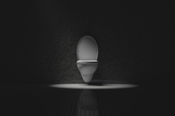 Toilet in the restroom. Living conditions. A place to be alone.