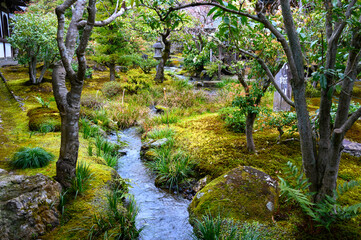 京都嵐山 天龍寺 庭園