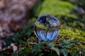Glaskugel mit Wald im Moos