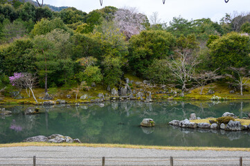 京都嵐山 天龍寺 庭園