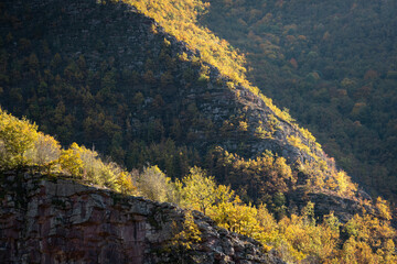 Game of shadow and light on a rocky mountain ridge covered by sunlit, autumn colored forests - 500441486
