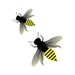 Bee icon vector cartoon style