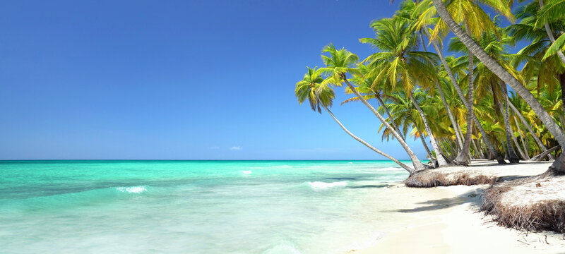 Saona in der Dominikanischen Republik