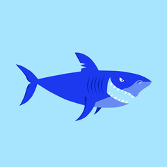 Vector illustration. Angry shark. shark in the sea