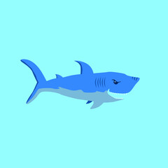 Vector illustration. Big shark. Shark in the water