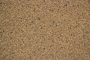 Mustard seeds closeup texture