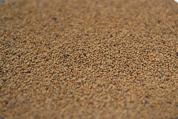 Mustard seeds closeup texture
