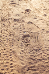 Spuren im Sand eines Waldweges