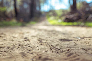 Spuren im Sand eines Waldweges