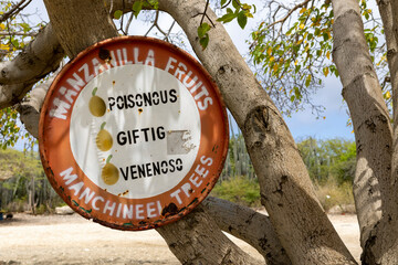 Manchineel trees warning sign at Playa Jeremi on the Caribbean island Curacao

