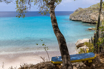 Tree and a bench painted with the flag of Curacao with view over Playa Jeremi and the Caribbean sea...