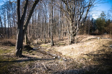 Borne Sulinowo Poland