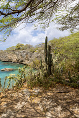 Holiday at Playa Jeremi on the Caribbean island Curacao