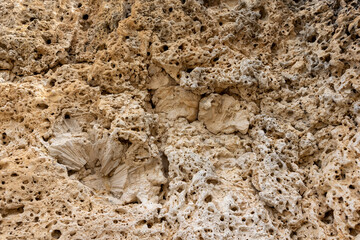 Coral cliff at the shore of Playa Jeremi on the Caribbean island Curacao