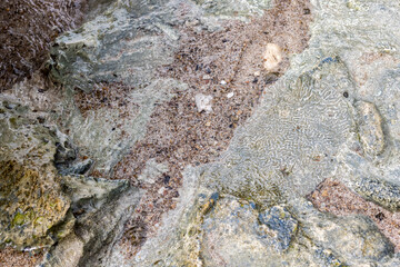 Coral rock at the shore of Playa Jeremi on the Caribbean island Curacao